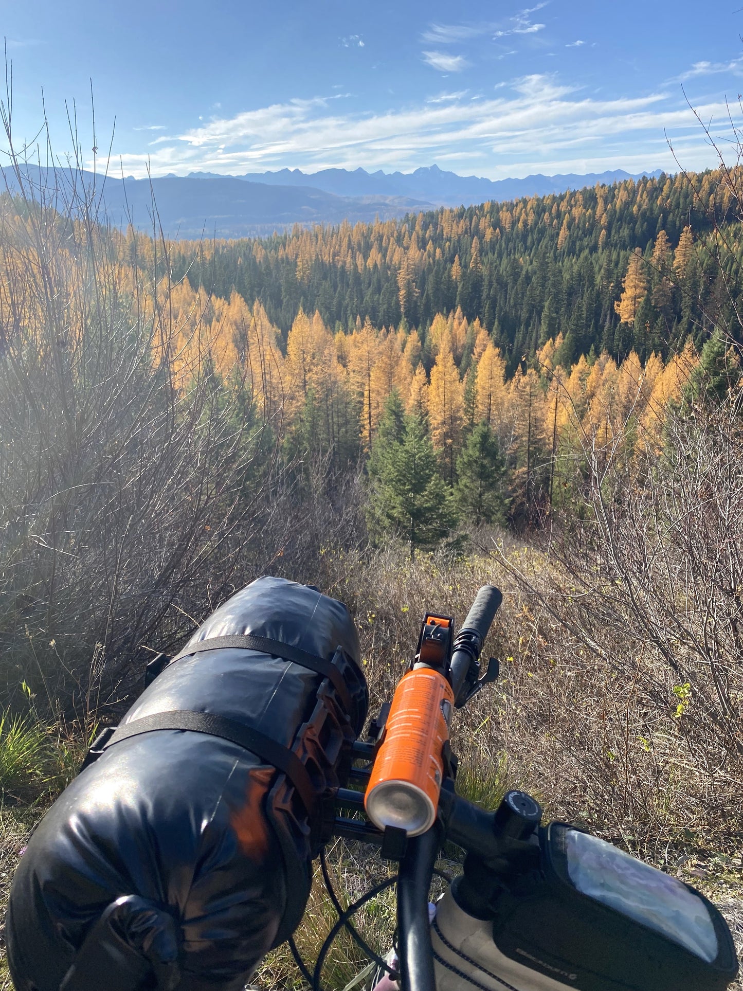 Bear Spray Bike Mount