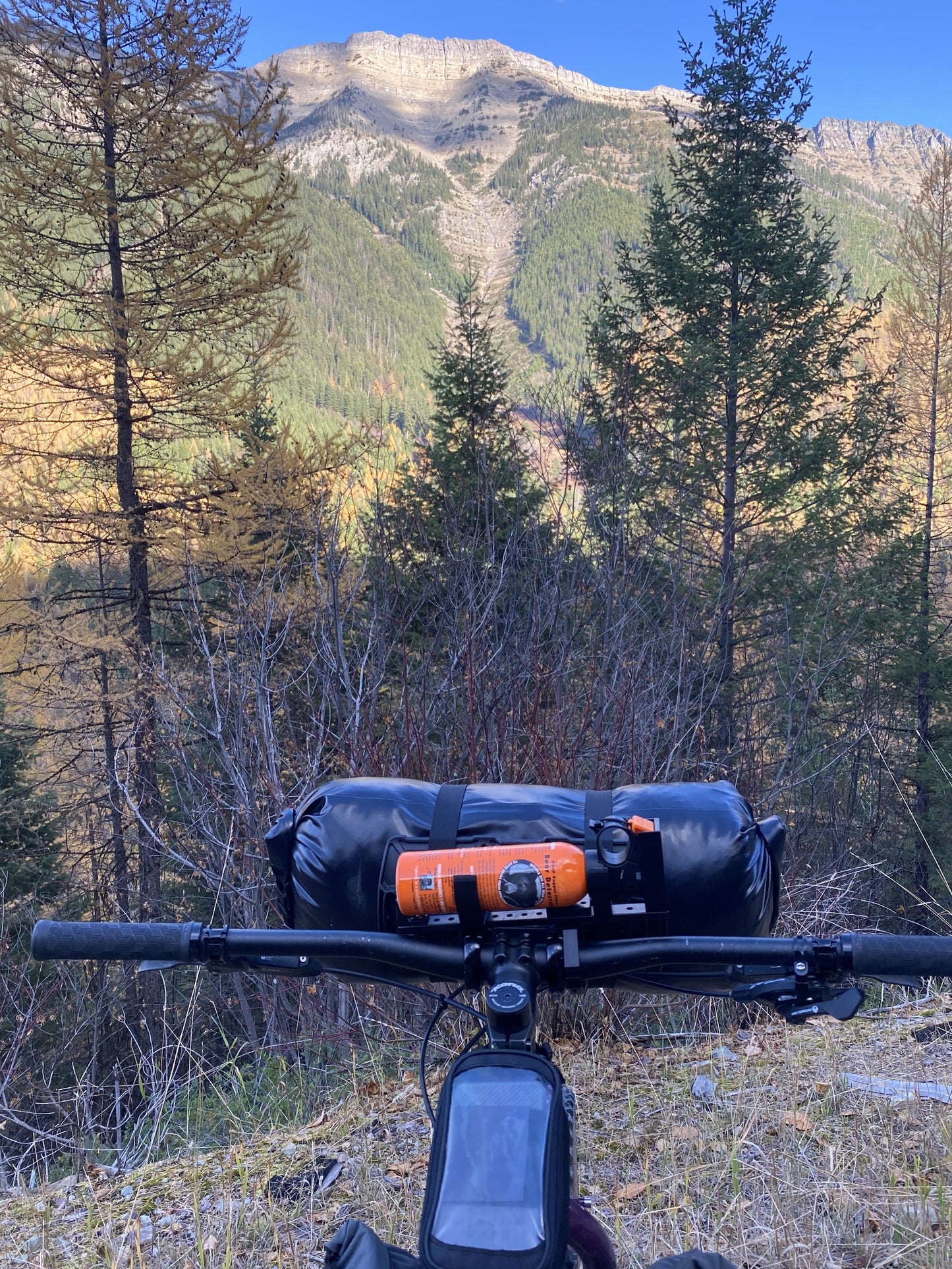Bear Spray Bike Mount